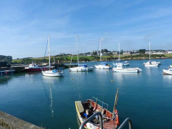 Apartament The Clamshell Isle of Whithorn Zewnętrze zdjęcie